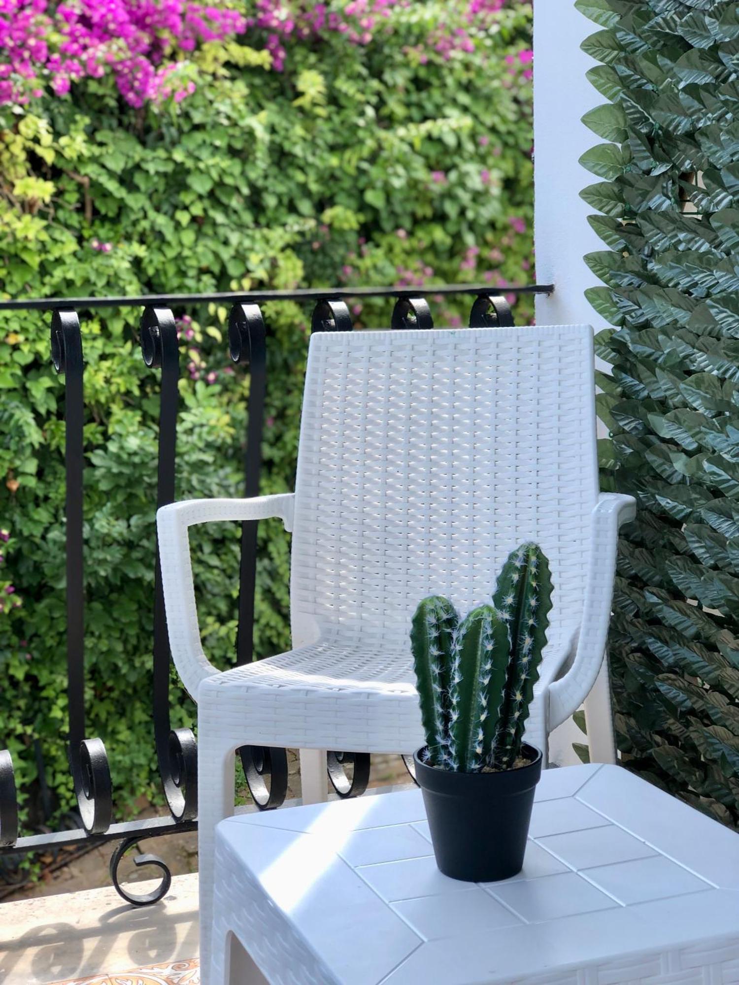 Villa Rosa Rooms 이스키아 외부 사진
